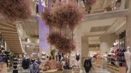 ETAM HALEVY Plancher de verre